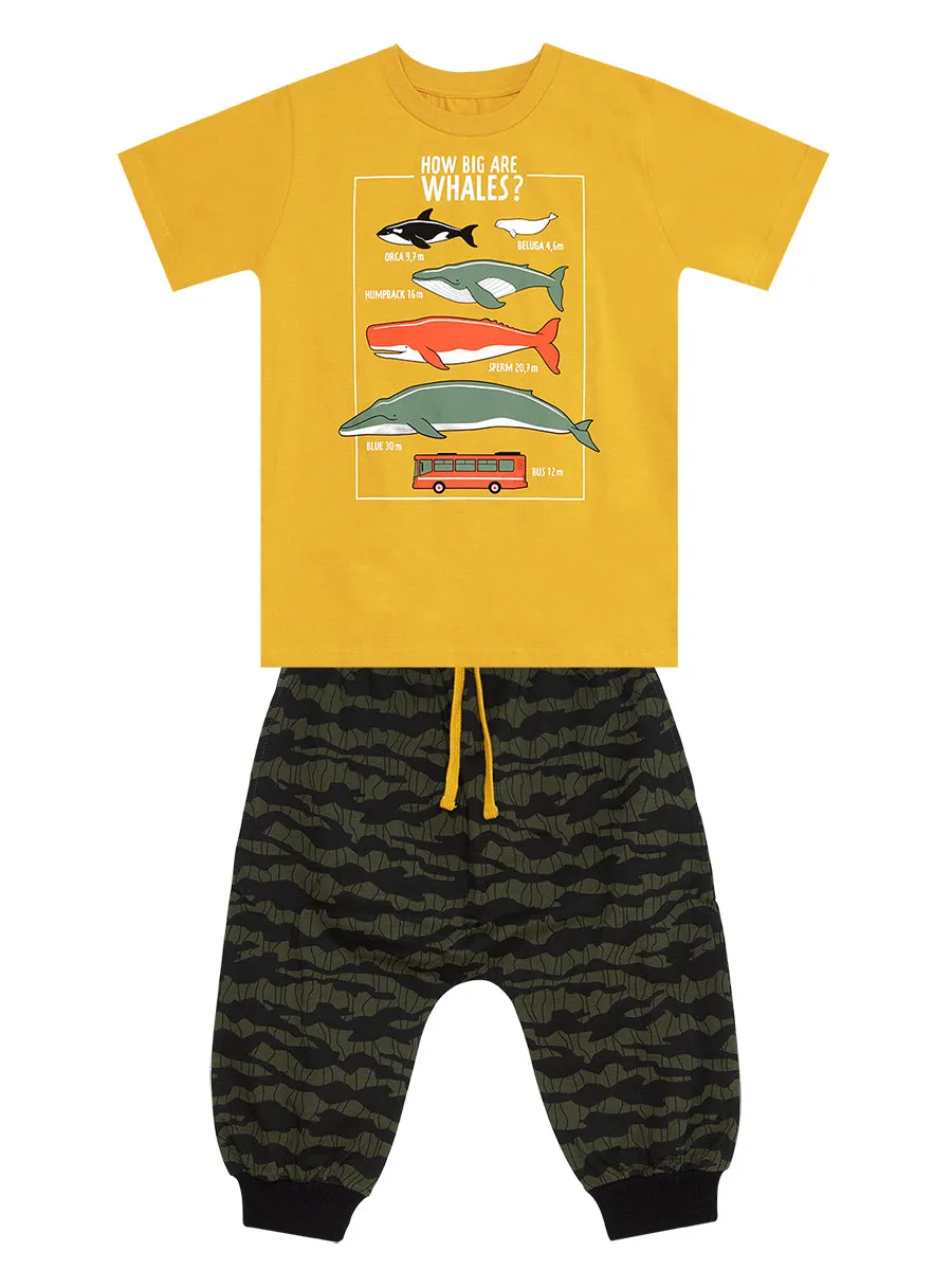 big whales erkek çocuk t-shirt kapri takim