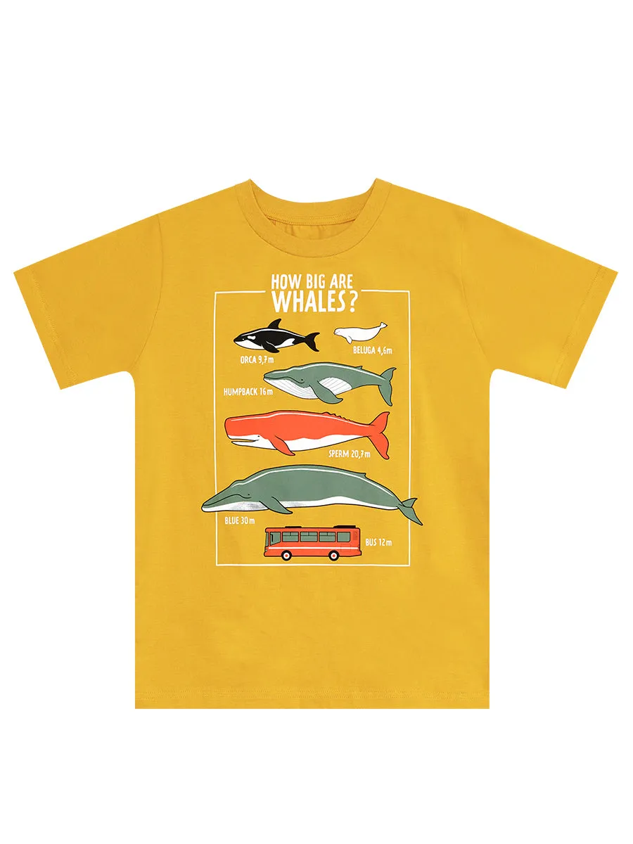 big whales erkek çocuk t-shirt kapri takim